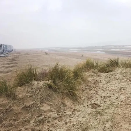 Cozy In Belgium With Parking, Cleaning Included