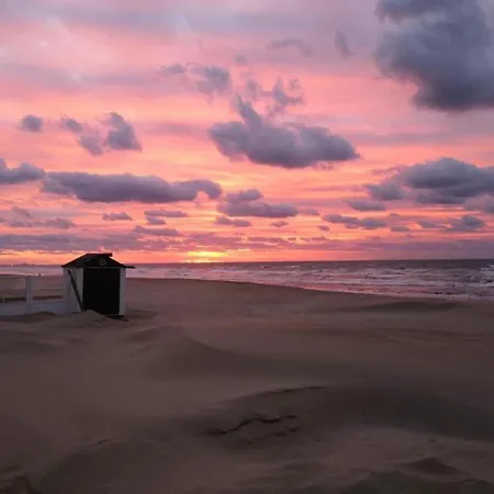 Cozy In Belgium With Parking, Cleaning Included Koksijde
